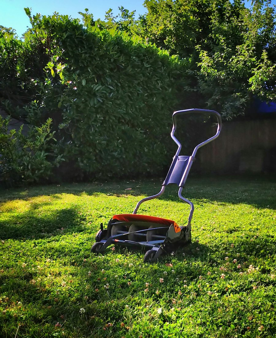 A reel lawn mower on a sunny, freshly cut lawn in front of a hedge