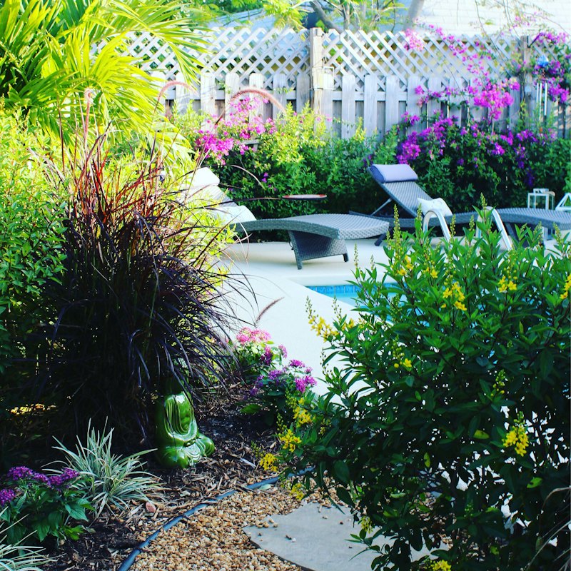 A landscaped backyard with ornamental grasses, flowering shrubs and a gravel path